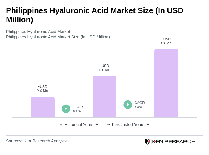 Philippines Hyaluronic Acid Market Size